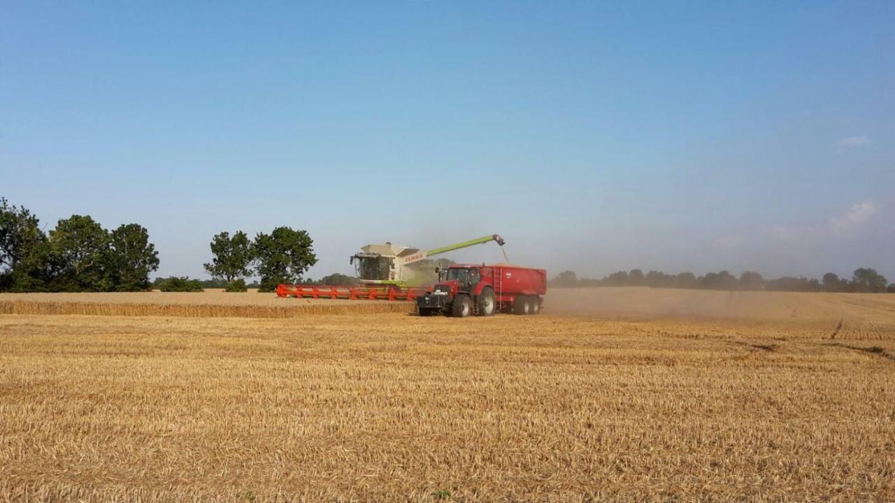 Ferienhof Bauermuller Affittacamere Fehmarn Esterno foto